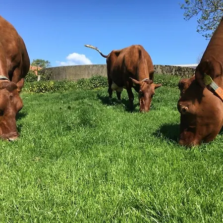 Butterhaus Apartament *